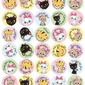 Teacher Sticker - Katjie