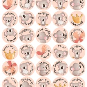 Teacher Sticker - Koala